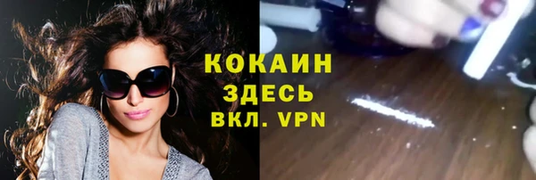 бошки Весьегонск