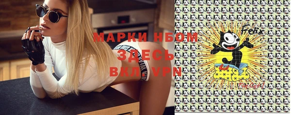 хмурый Пестово