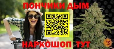 стаф Бийск