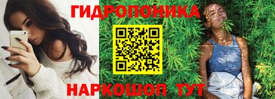 стаф Бийск