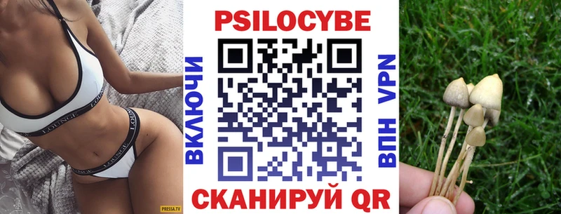 гидра как войти  Грязи  Псилоцибиновые грибы мухоморы 