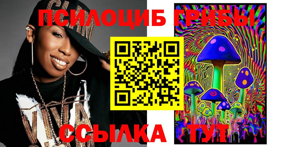 Псилоцибиновые грибы Psilocybine cubensis Грязи